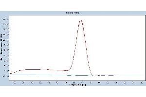 Image no. 1 for Human YWHAB qPCR Primer Pair (ABIN3188418)